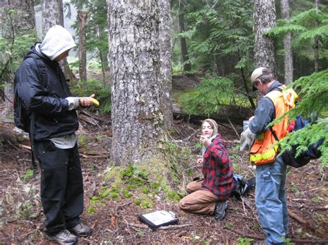 Ford Pinchot National Forest Botany Surveys Green Banks Llc