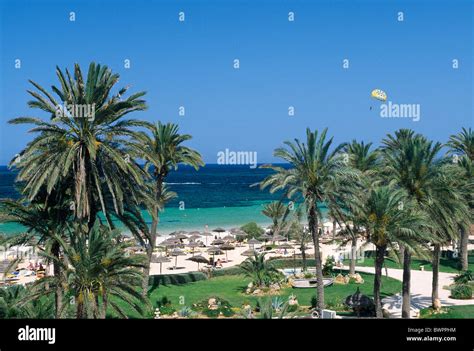 Tunisia Djerba Island Zarzis Oasis Africa North Africa Mediterranean