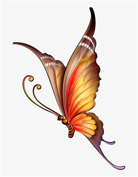 Фото Автор Ya Butterfly Drawing With Color 681x990 Png Download