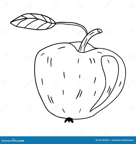 Cute Cartoon Hand Drawn Doodle Apple With Leaf Stock Vector