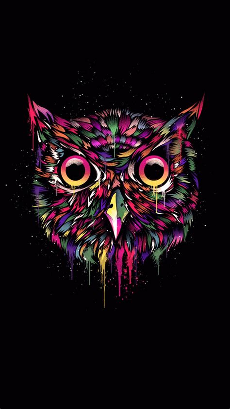 Owl Iphone Wallpapers Top Free Owl Iphone Backgrounds Wallpaperaccess