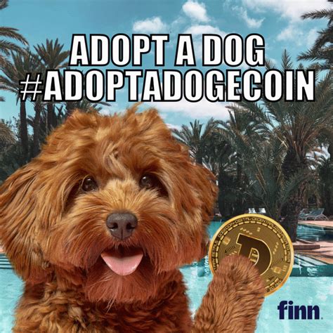 The cheapest way to buy dogecoin (doge) in the uk is on binance. Pet food brand Finn to boost Dog adoptions 'to the moon ...