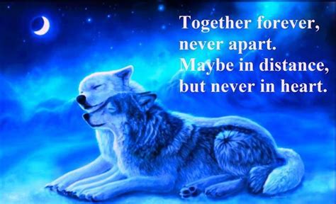 Wolf Love Quotes
