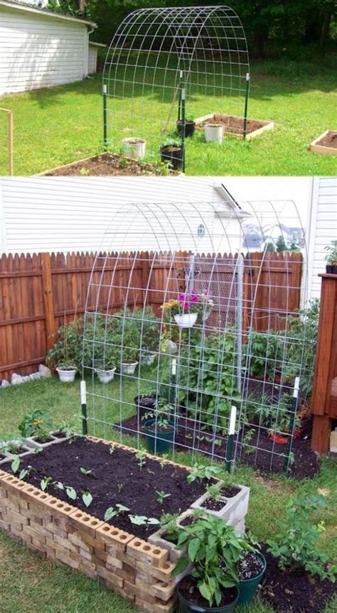 Successful Diy Ways To Create Supports For Vegetable And Flower Beds In