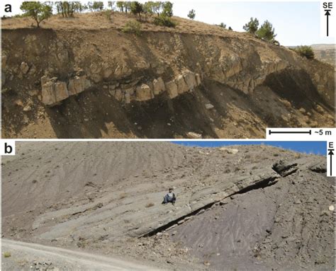61 Field Photographs Showing A Normal Faults Associated With Wedge