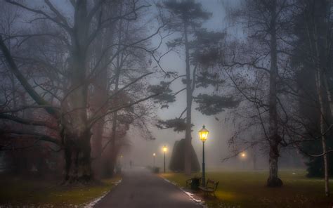 Wallpaper Park Foggy Path Lamp Posts Benches Trees