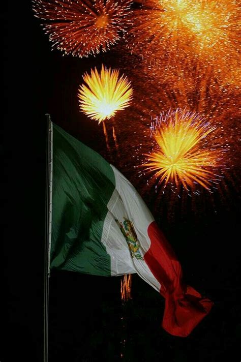 Viva Mexico Mexico Flag Mexico City Mexican American Flag Zodiac