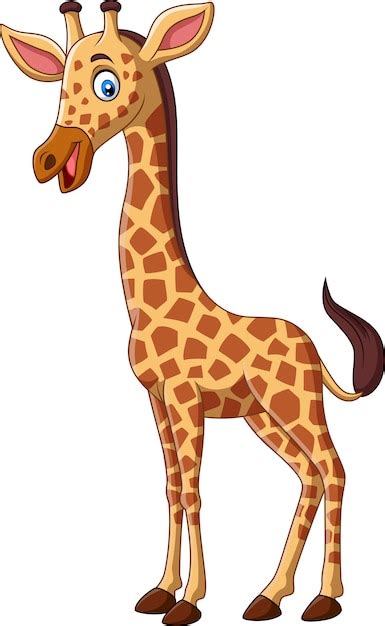 Girafe De Dessin Animé Isolé Vecteur Premium