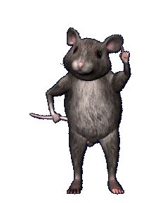 Rat Sticker Rat Discover Share Gifs