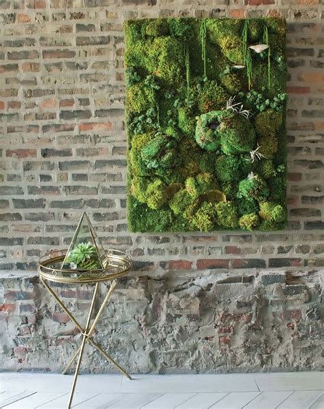 20 Fresh And Natural Moss Wall Art Decorations Home Design And Interior