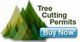 Commercial Firewood Permits Oregon Pictures