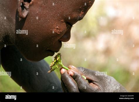 Two Suri Surma Young Men Body Painting Each Other With Flowers Dipped