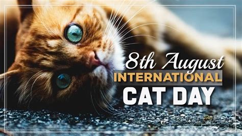 International Cat Day 08 August ~ Current Affairs Ca Daily Updates