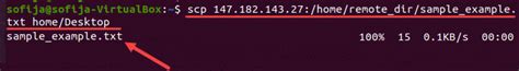 Linux Scp Command Explained 13 Examples Phoenixnap Kb