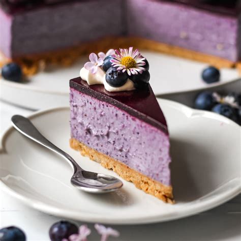 Vegan Blueberry Cheesecake No Bake Project Vegan Baking