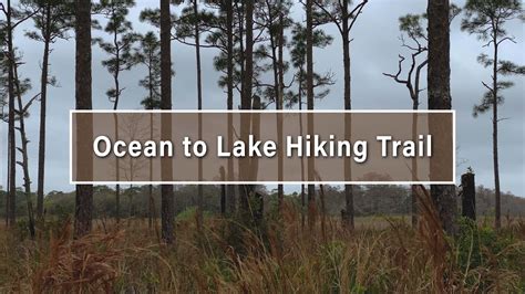 Section Of The Ocean To Lake Hiking Trail Youtube