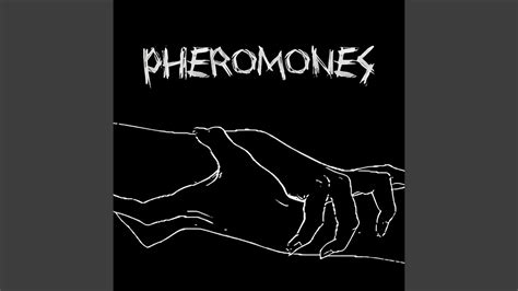 Pheromones Youtube Music