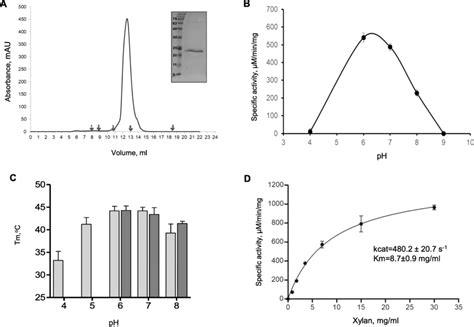 Purification And Functional Characterization Of Xylanase A Download Scientific Diagram