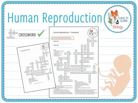 Human Reproduction Crossword Ks3 Teaching Resources