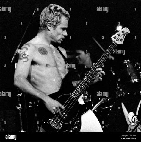 Red Hot Chili Peppers Flea Michael Peter Balzary Performing At Great