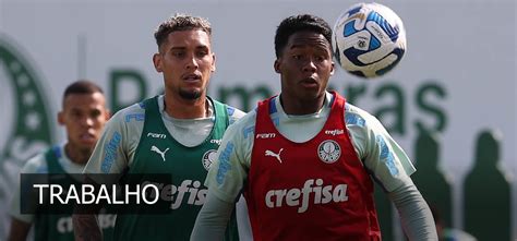 palmeiras inicia preparação para enfrentar o atlético mg pelo brasileirão abel terá 1 desfalque