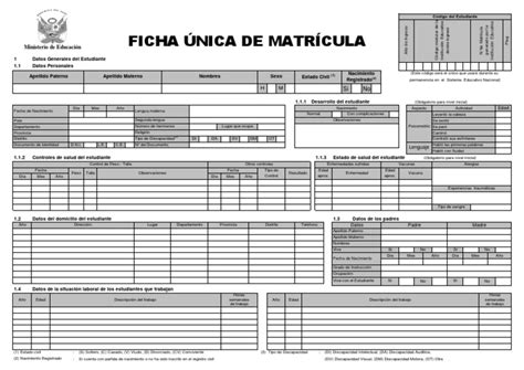 Ficha Unica De Matricula 11 Pdf Pdf