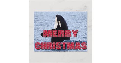 Merry Christmas Orca Whale Spy Hop Holiday Ts