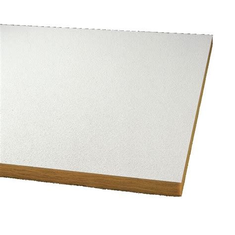 Armstrong Ceilings 24 In X 24 In Optima 24 Pack White Textured 1516 In