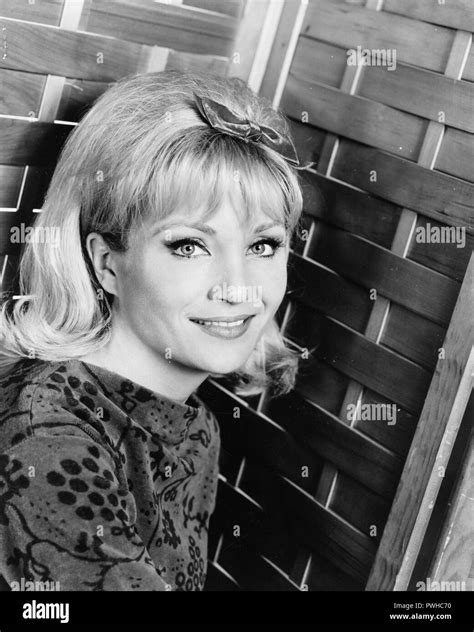 Susan Oliver Hi Res Stock Photography And Images Alamy
