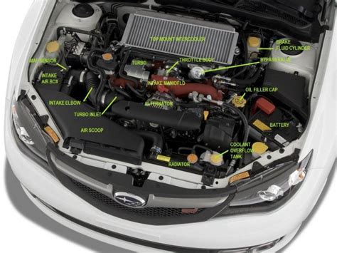 Diagram Of Under The Hood Of A Car