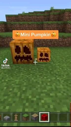 Browse and download minecraft axolotl texture packs by the planet minecraft community. 360 Good ideas in 2021 | minecraft designs, minecraft ...