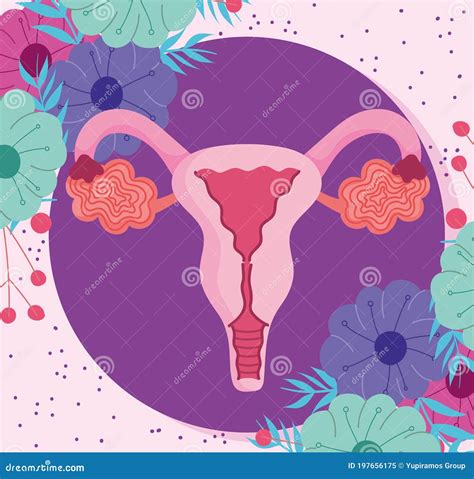 Female Human Reproductive System Uterus With Leaves And Flowers Stock Vector Illustration Of