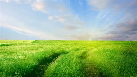 1920x1080 Road Grass Field Coolwallpapersme