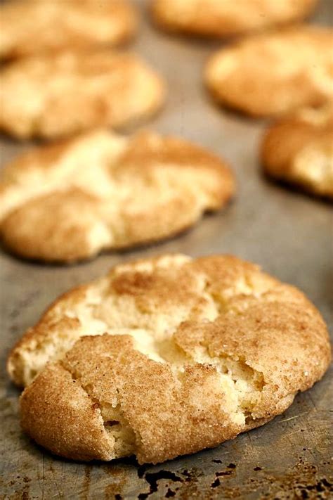 Add wet ingredients to dry and fold together until it becomes a thick dough. Snickerdoodle Cookie Recipe | Recipe | Snickerdoodle ...