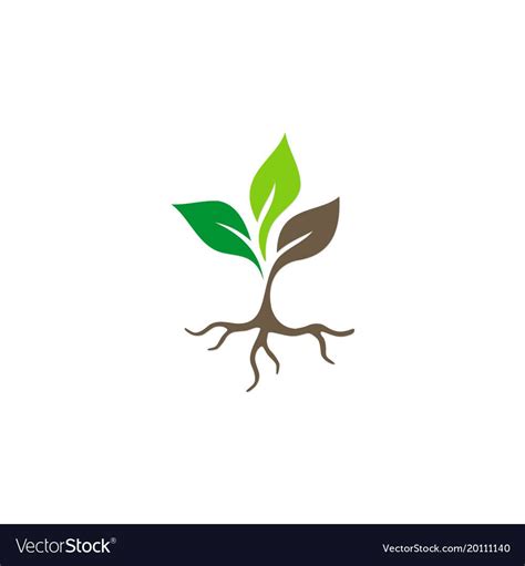 Seed Plant Root Logo Vector Image On Vectorstock Plant Logos Plant
