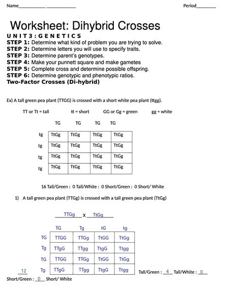 Solved Name Period Worksheet Dihybrid Crosses Unit Genetics Step