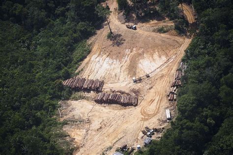 The Disappearing Amazon Rainforest The Globe And Mail