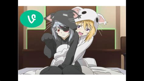 Anime Vinescrack Compilation Meow Youtube