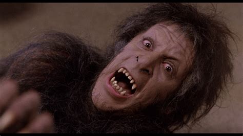 Throughout the 1970s, landis had no success making his script a reality. An American Werewolf in London (Arrow Video) Blu-ray Review