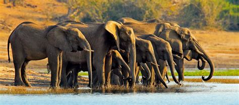 Southern Africa Safari By Private Air National Geographic Expeditions