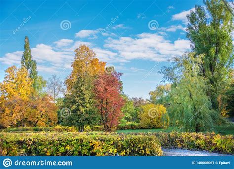 Autumn Park On A Bright Sunny Day Stock Image Image Of Foliage Tree