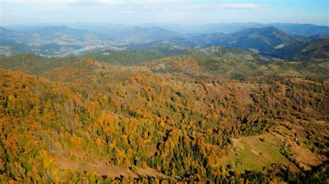 Aerial View On Beautiful Autumn Foliage On Trees In Highlands Stock