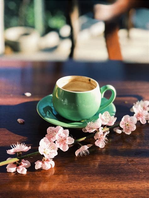 Coffee And Flowers Images How About Have A Cup Of Coffee And Enjoy A