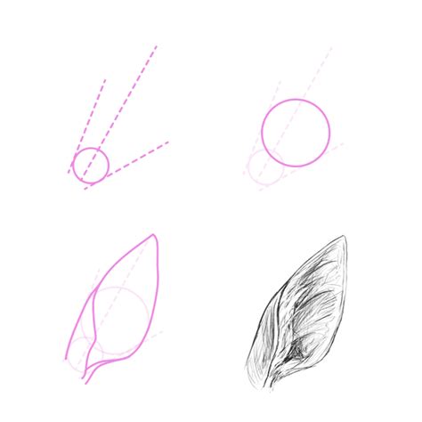 Add two ovals on the sides of the head. How to Draw Animals: Deer - Species and Anatomy | Animal drawings, Deer drawing, Deer ears