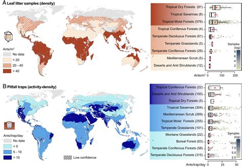 The Abundance Biomass And Distribution Of Ants On Earth Pnas