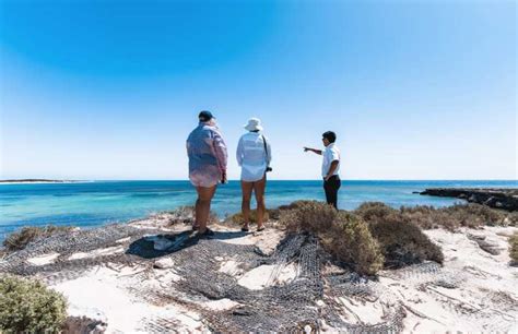 Geraldton Excursão De Meio Dia Ao Lago Rosa E Abrolhos De Avião Getyourguide
