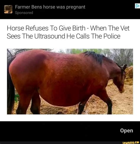 Farmer Bens Horse Was Pregnant Ats Sponsored Horse Refuses To Give
