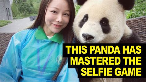 This Selfie Panda Poses For Pictures Youtube