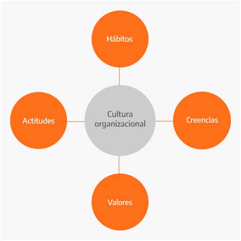 Cultura organizacional tipos y características
