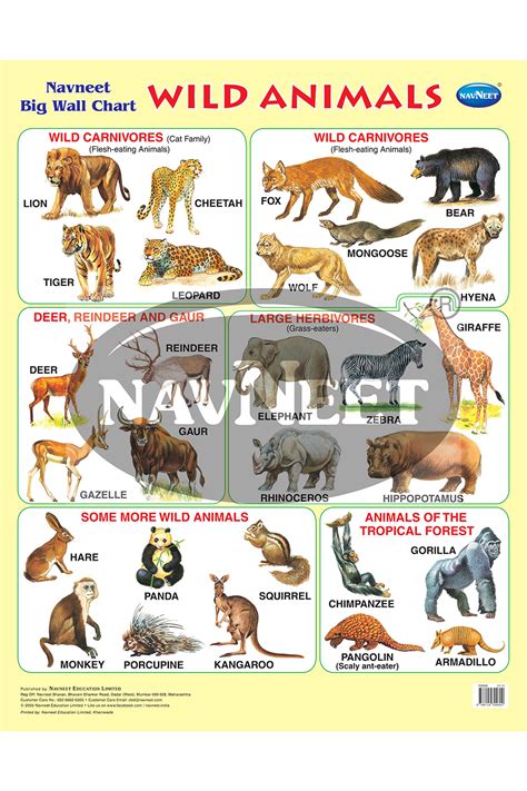 Navneet Big Wall Chart Wild Animals Navneet Education Limited